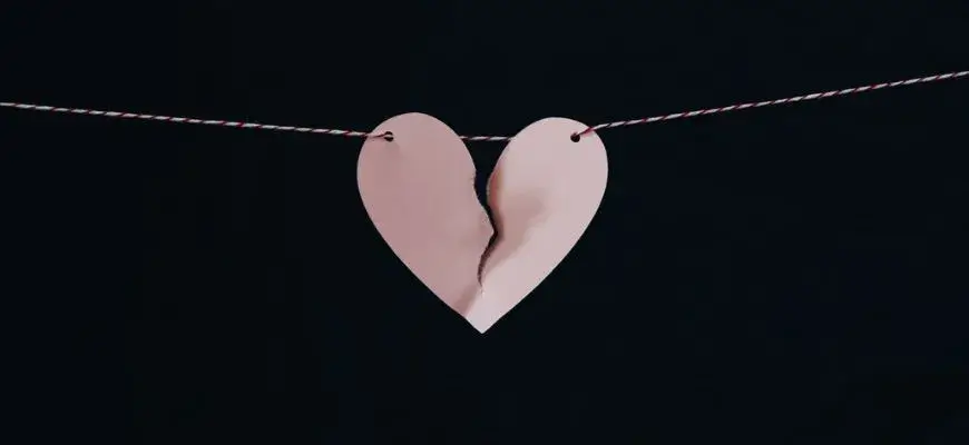 Puntos claves de un Divorcio. Guía completa (tipos, pasos y requisitos)